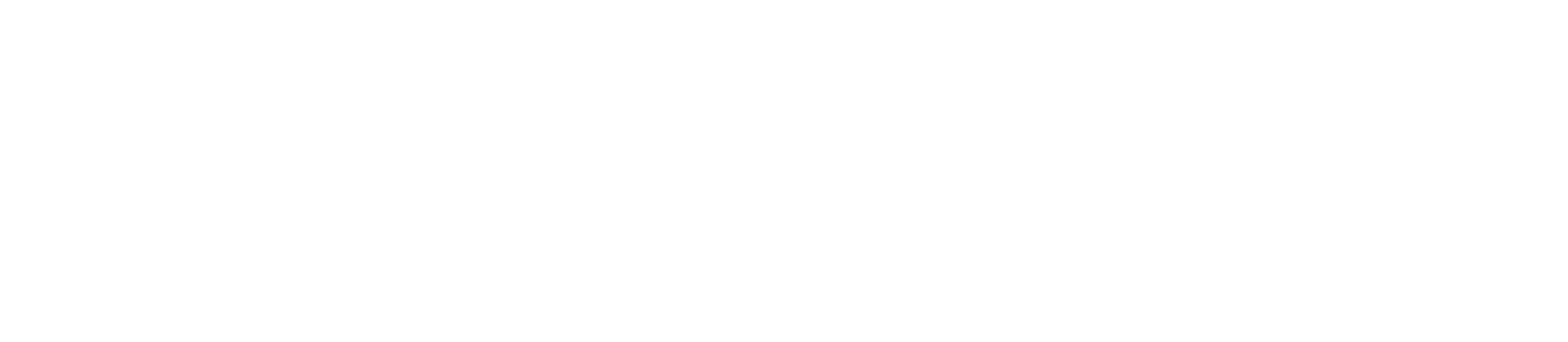 ParPro Logo